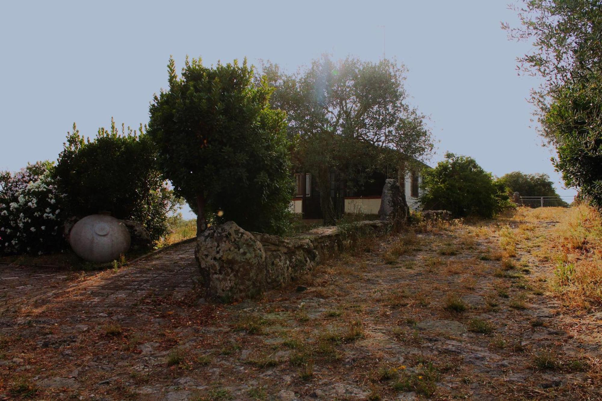 Agriturismo Su Recreu Ittiri Extérieur photo