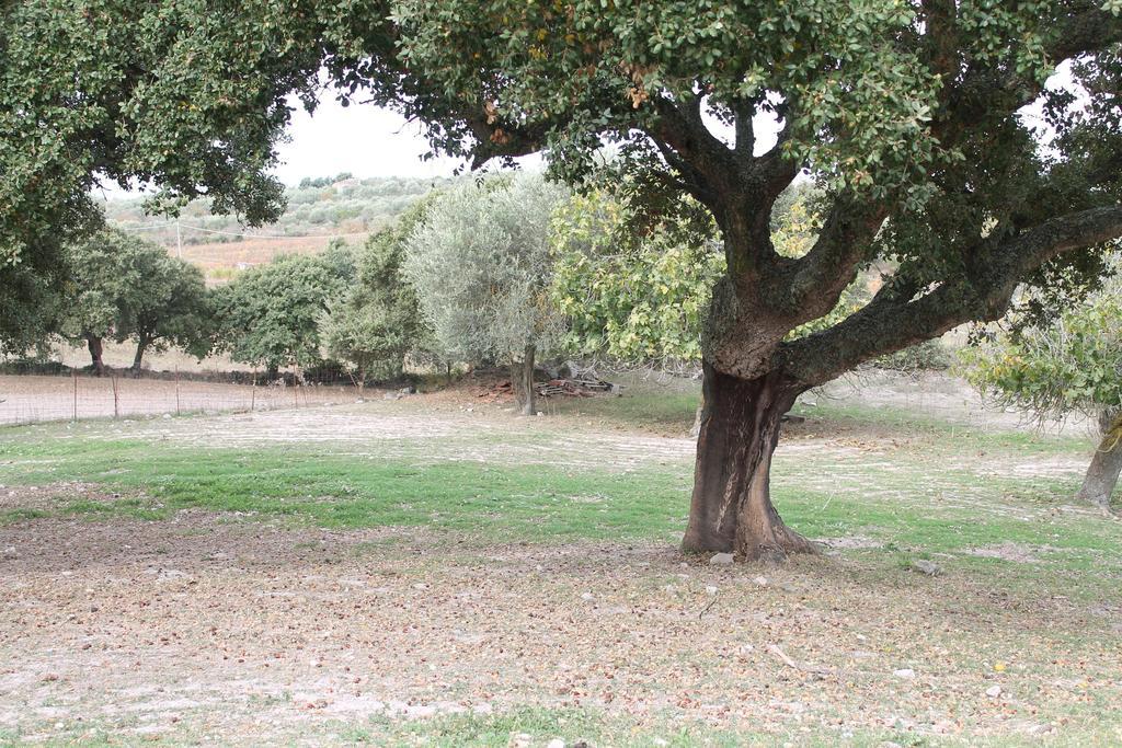 Agriturismo Su Recreu Ittiri Extérieur photo