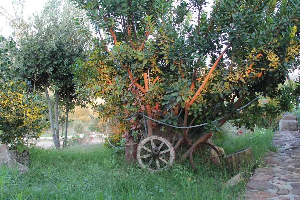 Agriturismo Su Recreu Ittiri Extérieur photo