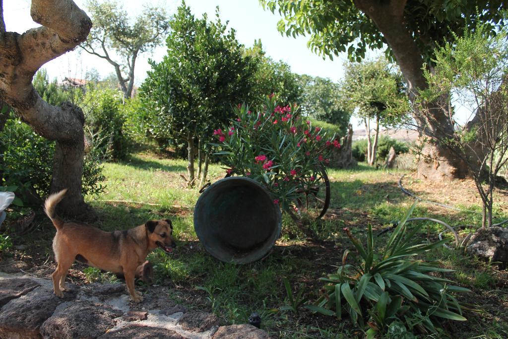 Agriturismo Su Recreu Ittiri Extérieur photo