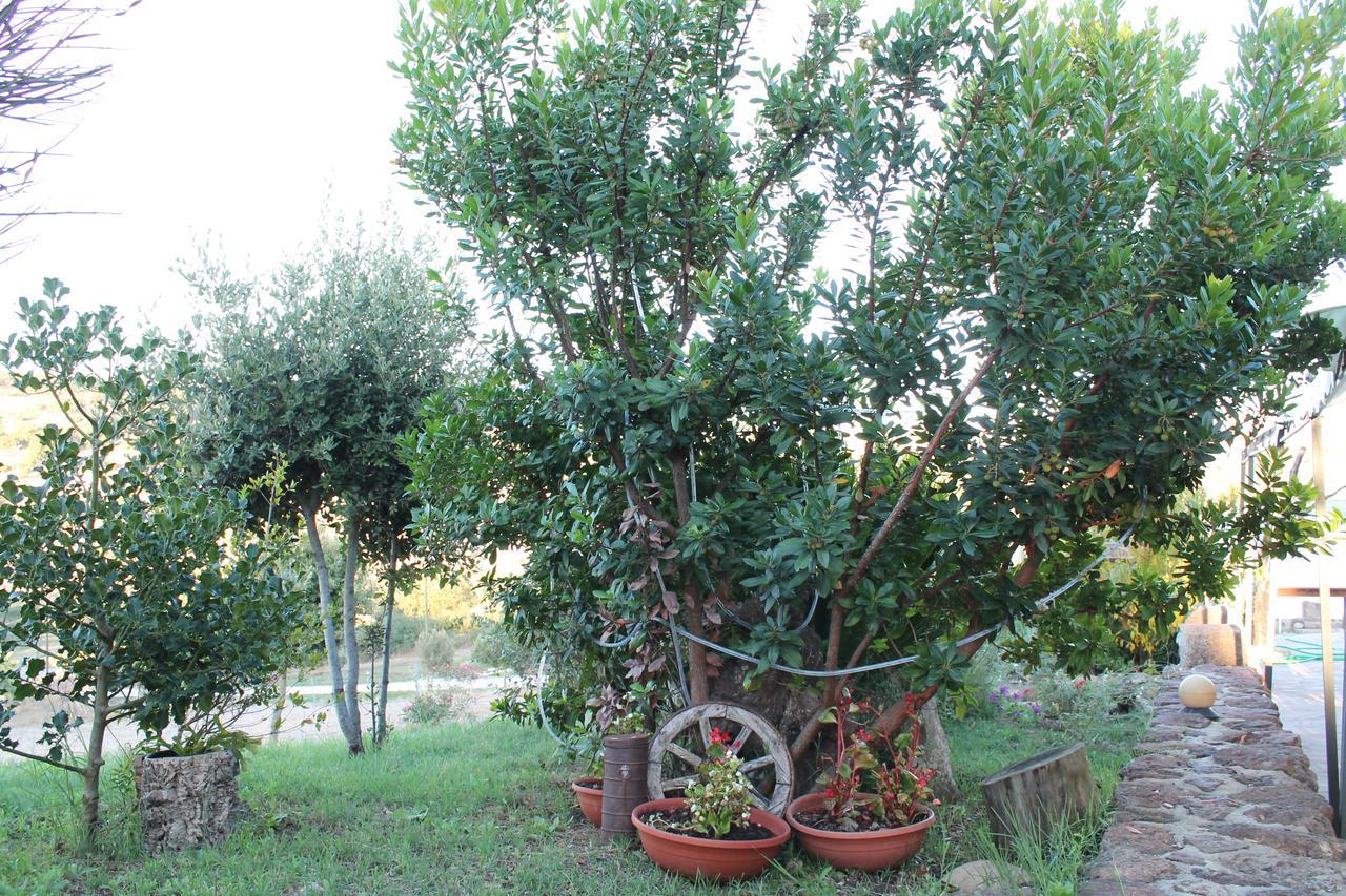 Agriturismo Su Recreu Ittiri Extérieur photo