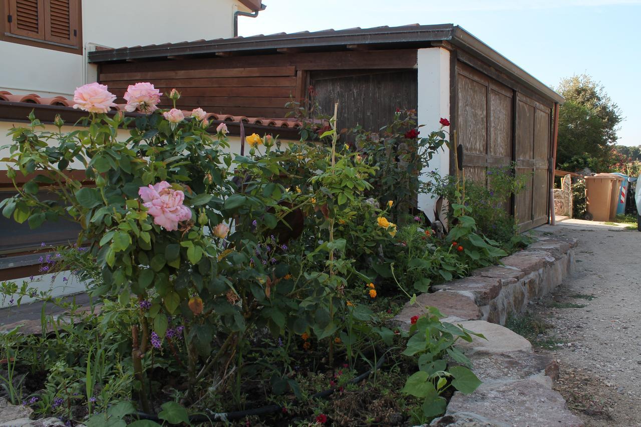 Agriturismo Su Recreu Ittiri Extérieur photo