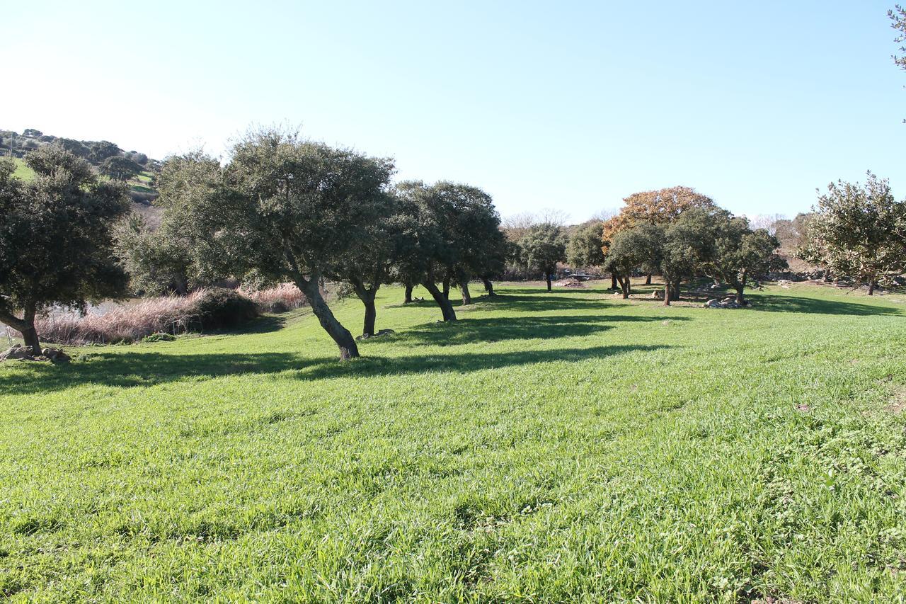 Agriturismo Su Recreu Ittiri Extérieur photo